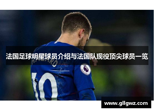 法国足球明星球员介绍与法国队现役顶尖球员一览