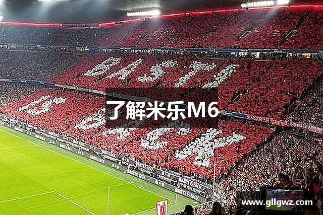 了解米乐M6
